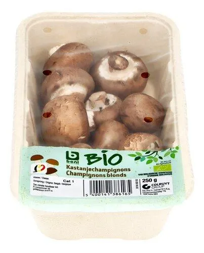 champignons blonds