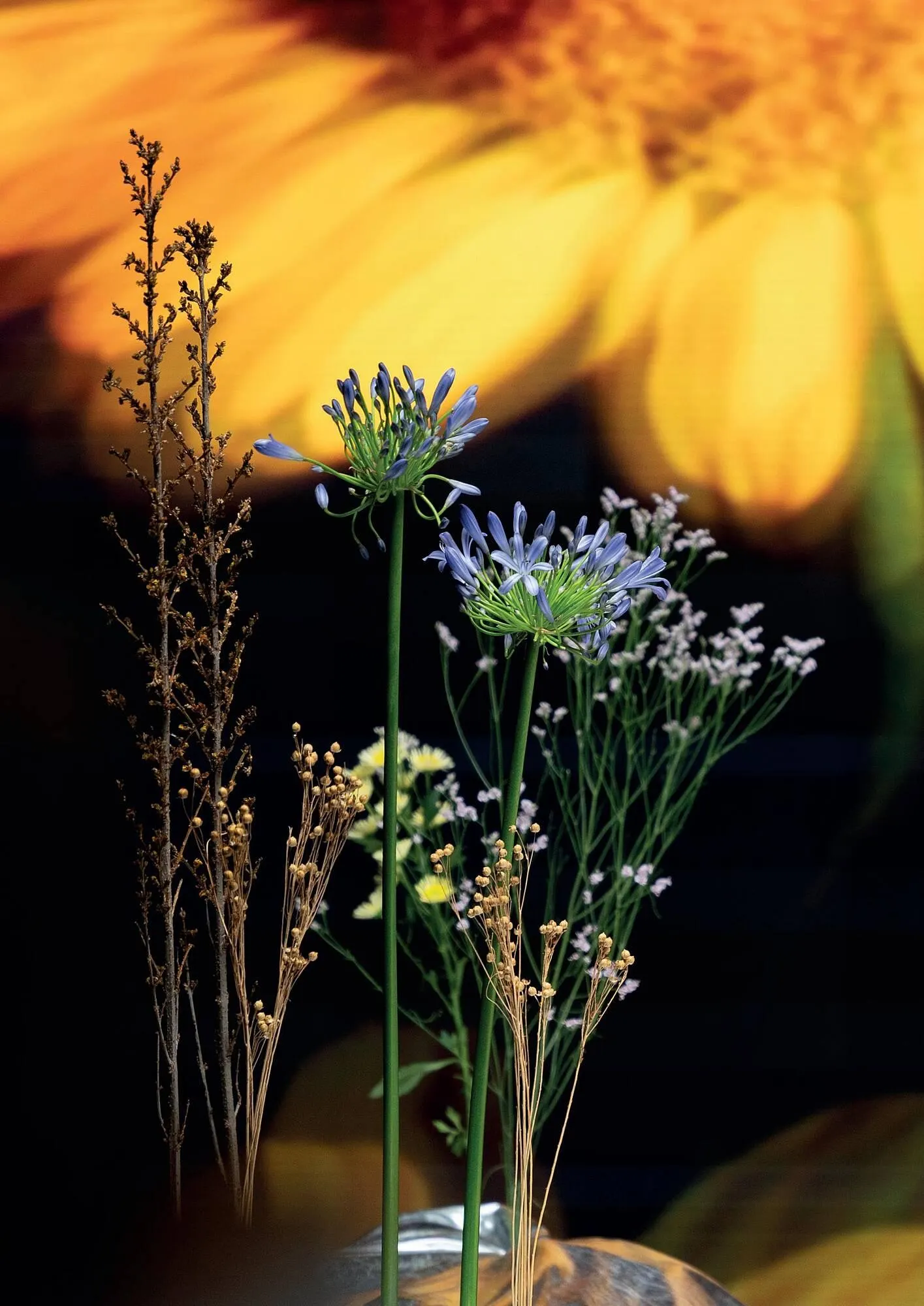 Pro-Duo folder van 1 maart tot 7 maart 2026 - folder pagina 15