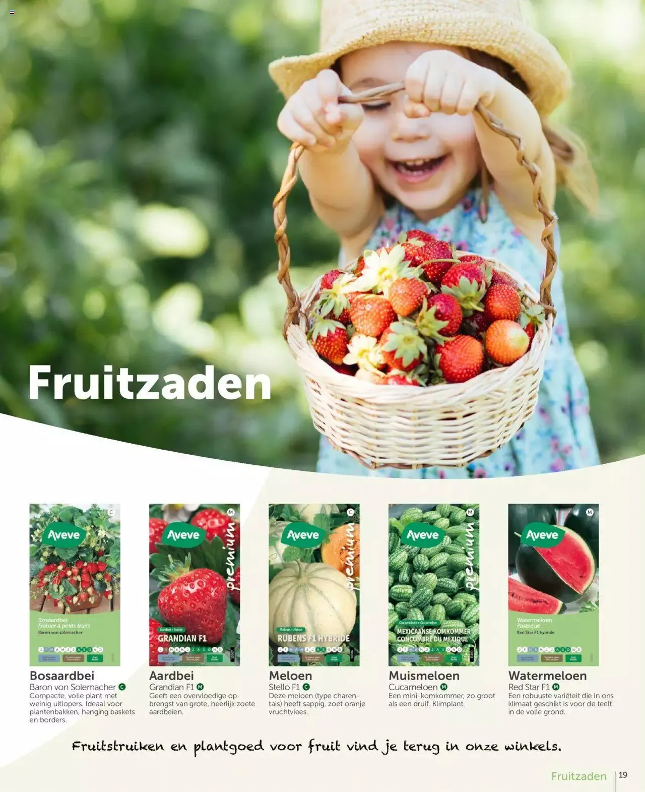 Aveve groente- en kruidengids van 31 december tot 31 december 2023 - folder pagina 19