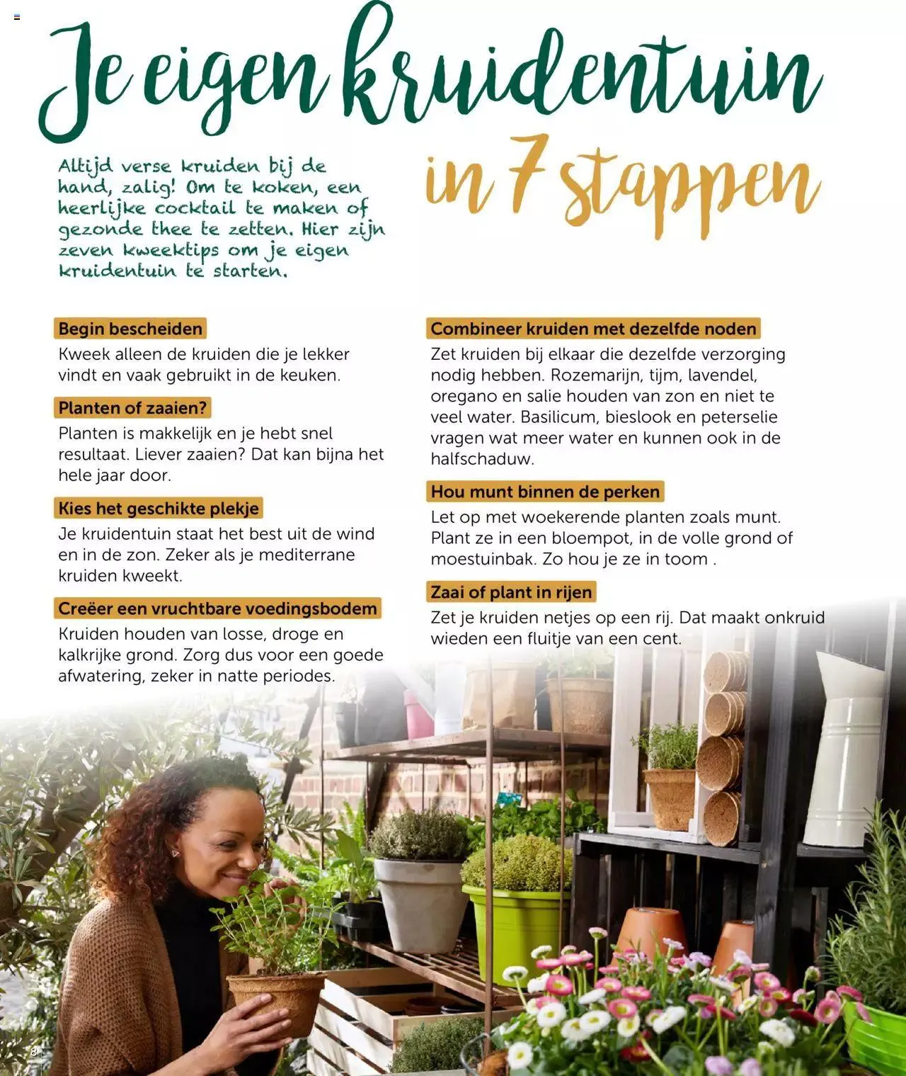 Aveve groente- en kruidengids van 31 december tot 31 december 2023 - folder pagina 8