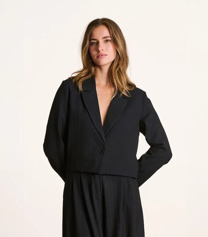 Kort blauw gestreept jack