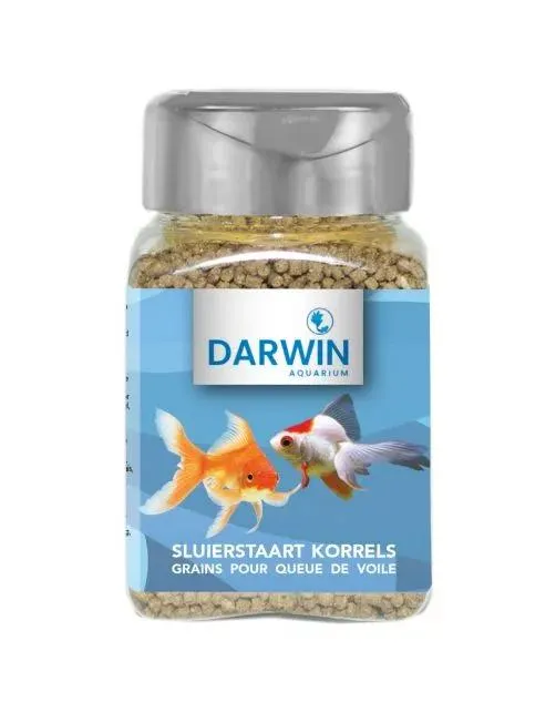 Darwin Sluierstaart Korrels - Vissenvoer
