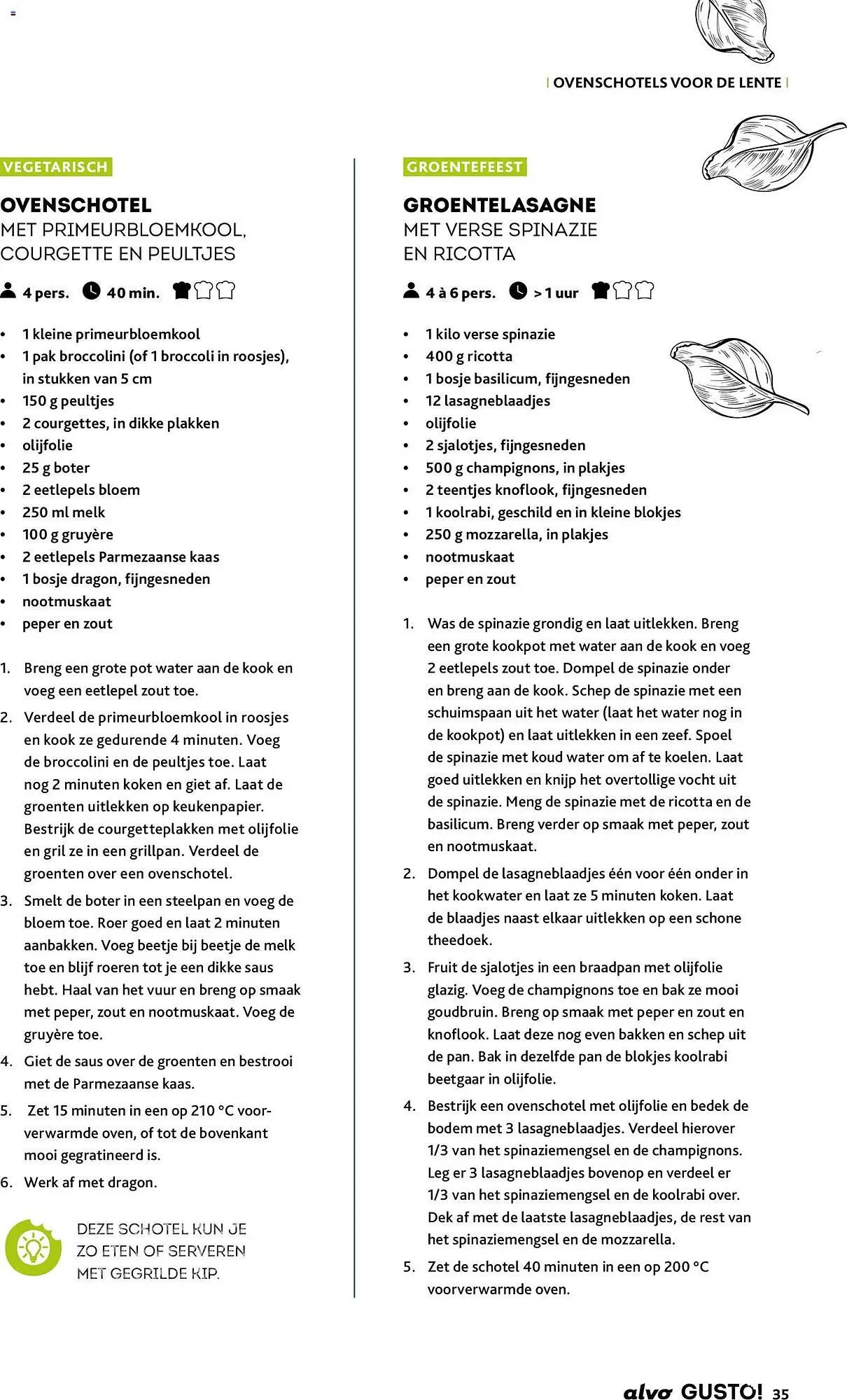 Alvo magazine van 25 maart tot 25 mei 2026 - folder pagina 35