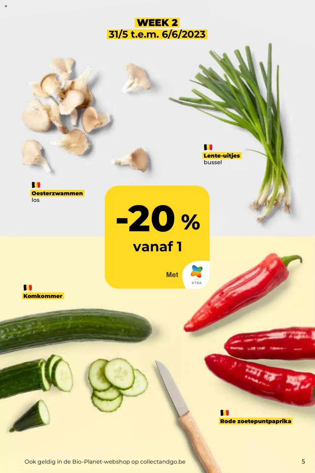 BioPlanet folder van 20 juni tot 31 december 2023 - folder pagina 5