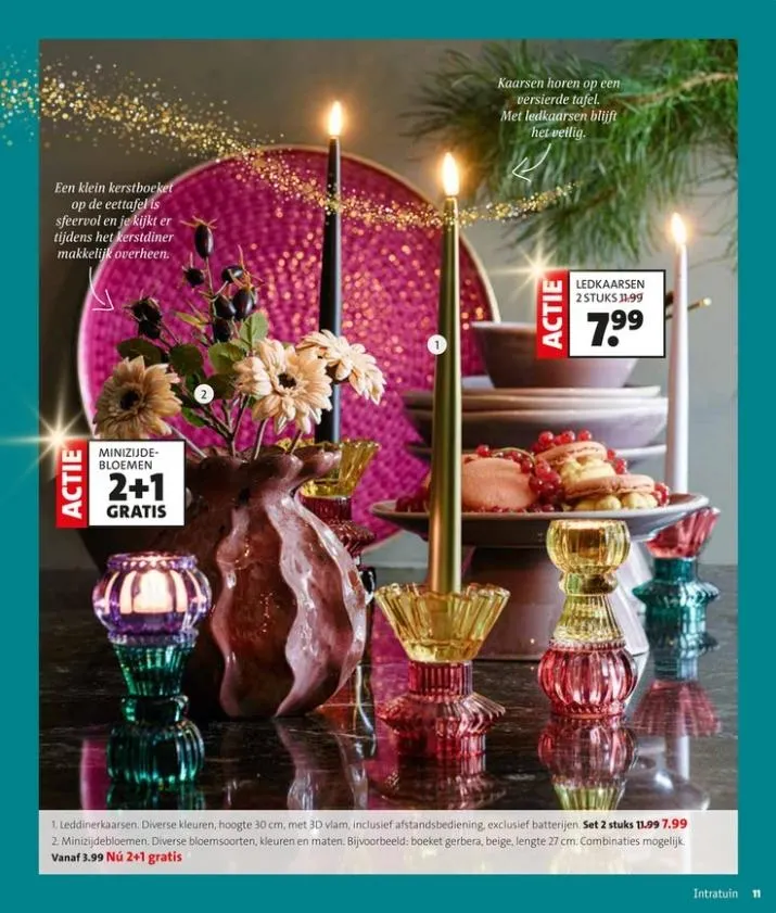 Intratuin folder tot 09.11.2025 van 1 november tot 9 november 2025 - folder pagina 11