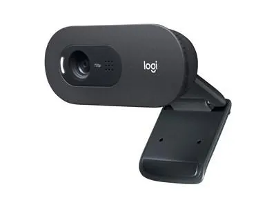 Logitech C505 webcam - Zwart