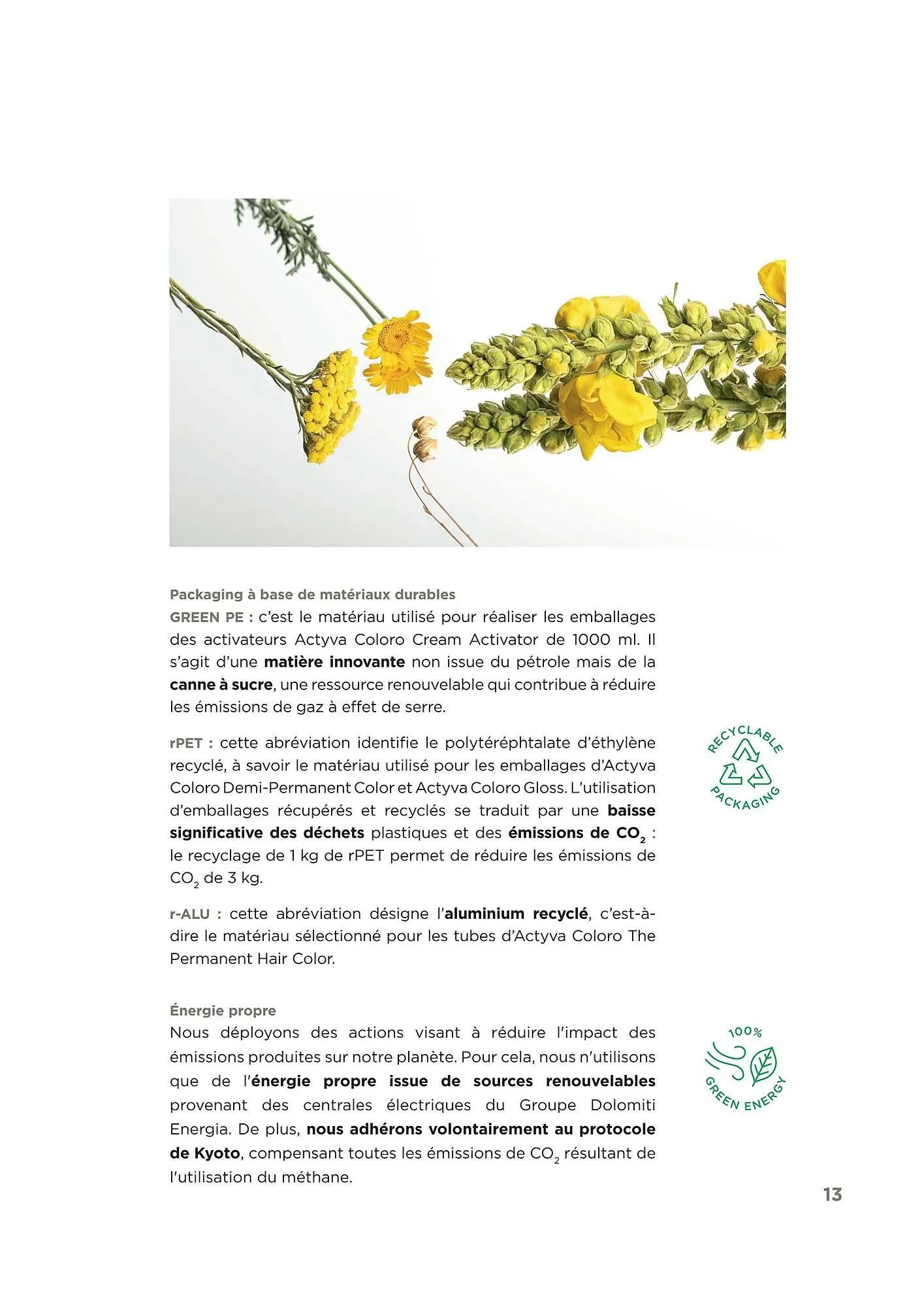 Pro-Duo folder van 1 maart tot 7 maart 2026 - folder pagina 13