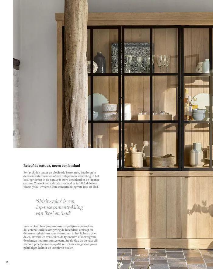 Thuisgevoel  van 17 oktober tot 31 januari 2025 - folder pagina 12