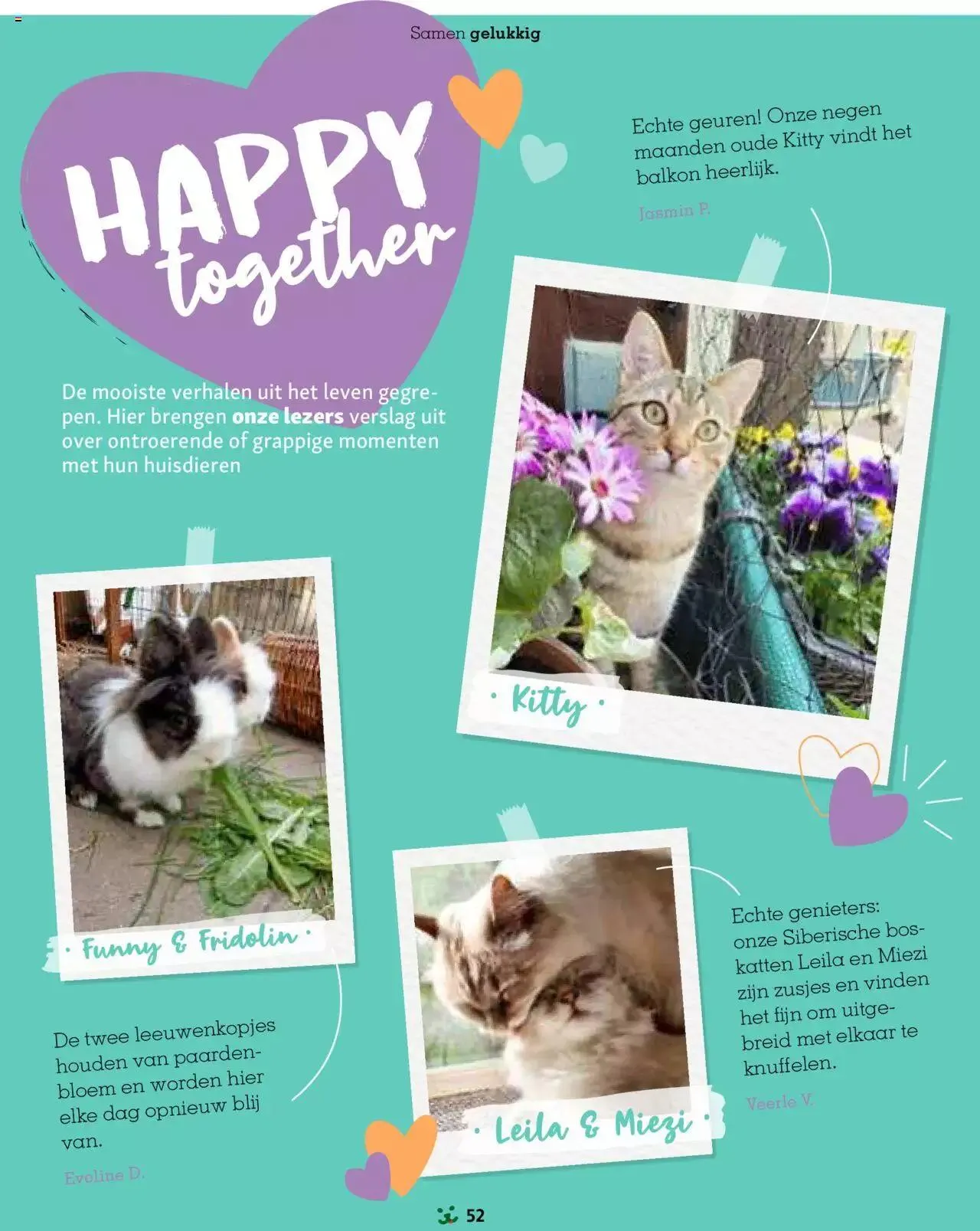 Maxi Zoo folder van 1 januari tot 31 december 2024 - folder pagina 52