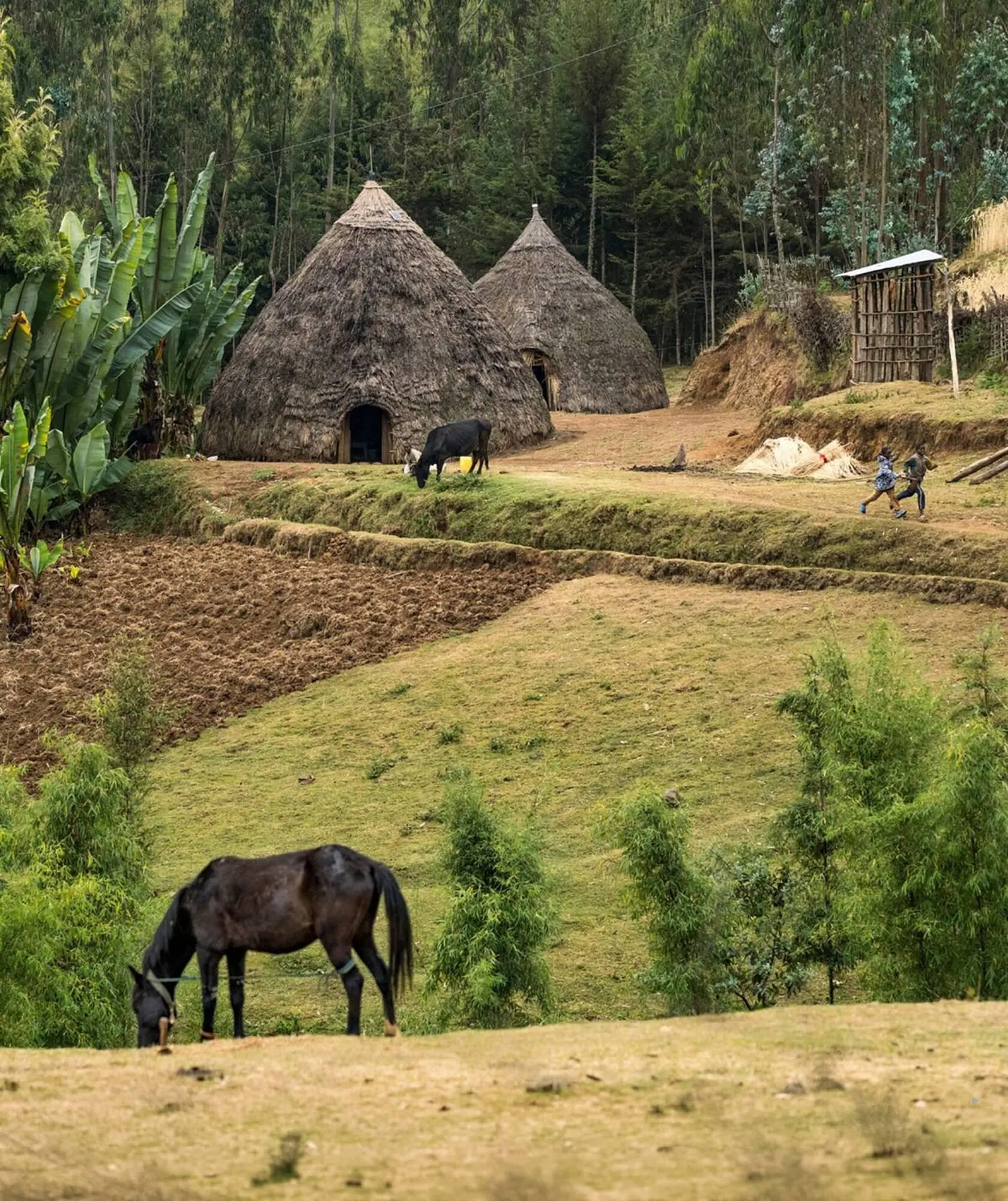 AS Adventure folder van 31 maart tot 30 april 2026 - folder pagina 87