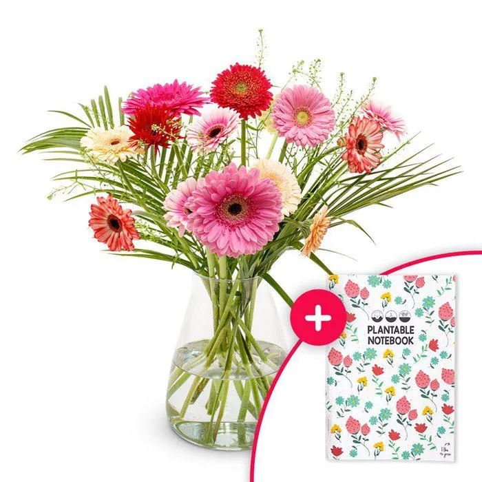 Boeket Germini mix | Notebook