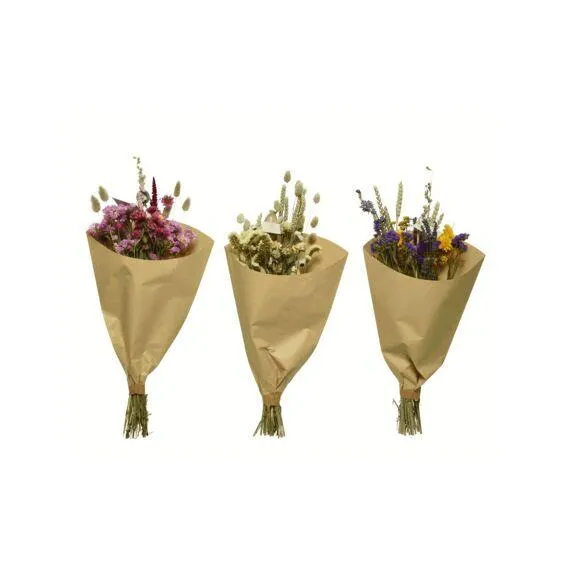 Boeket Droogbloem Dia20-H55Cm Assortie