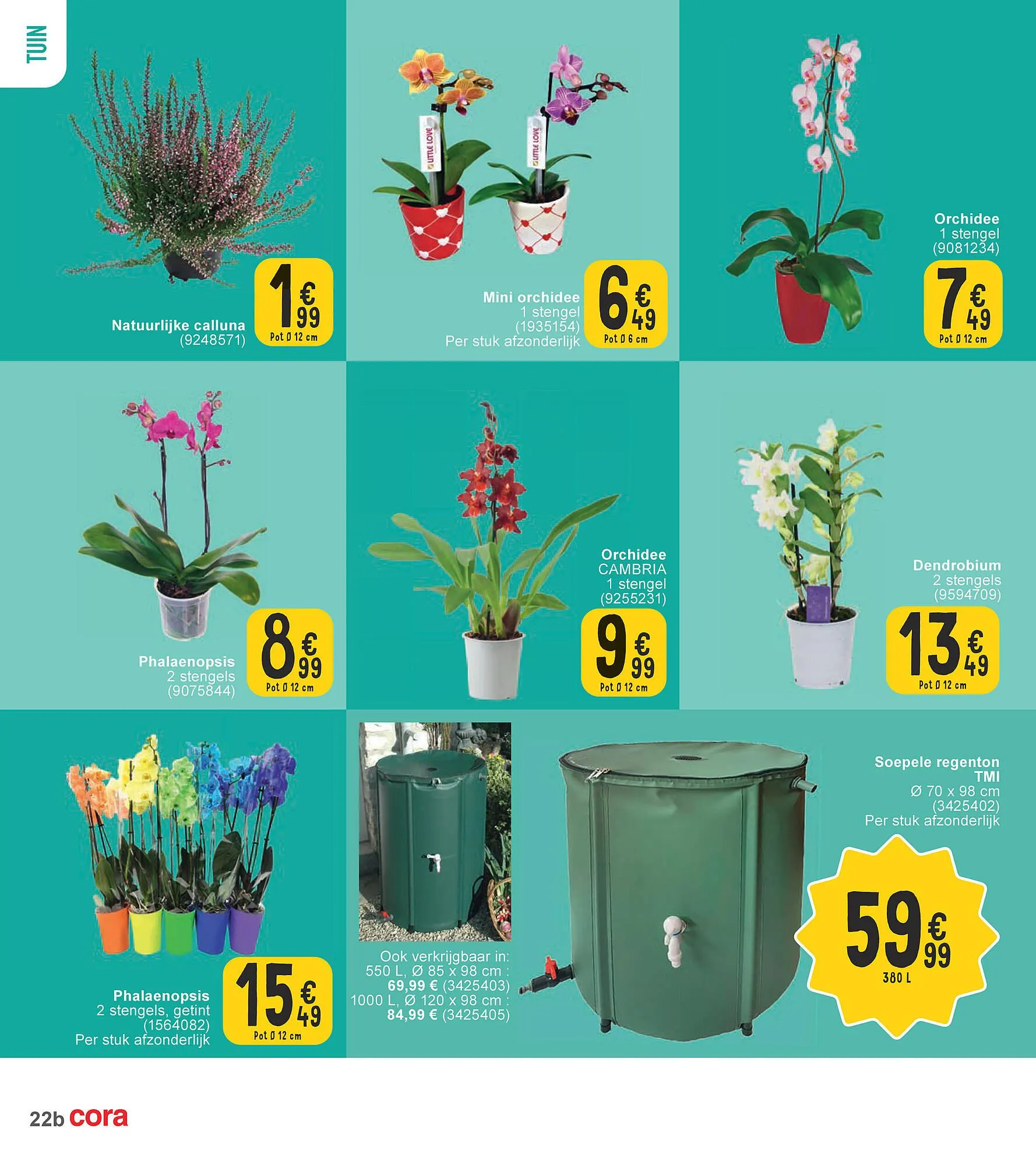 Cora Folder van 26 september tot 2 oktober 2023 - folder pagina 22