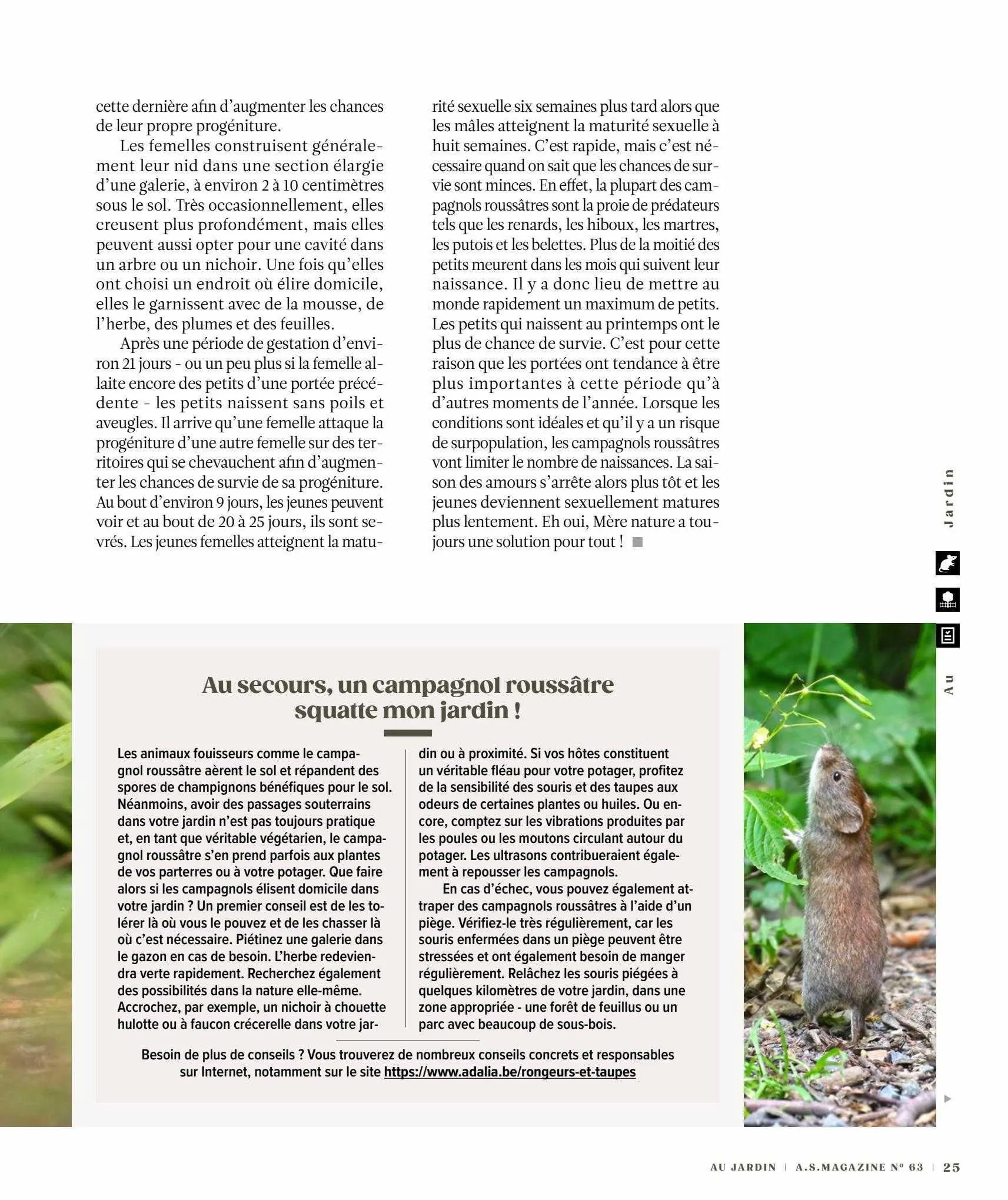 AS Adventure Magazine van 10 september tot 10 september 2023 - folder pagina 25