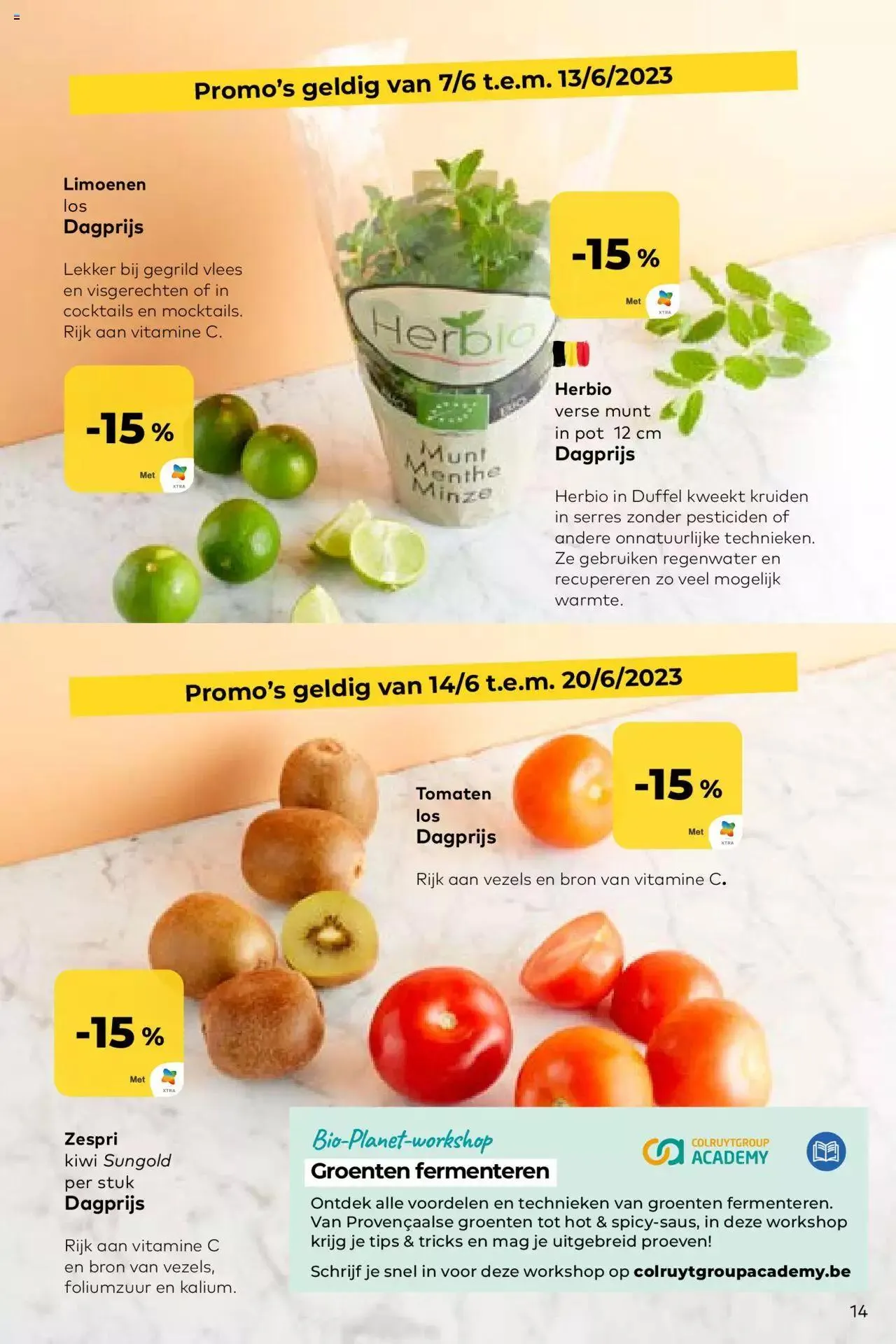 BioPlanet folder van 20 juni tot 31 december 2023 - folder pagina 14