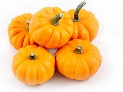 Pompoen (Cucurbita 'Jack Be Little') D 8 cm