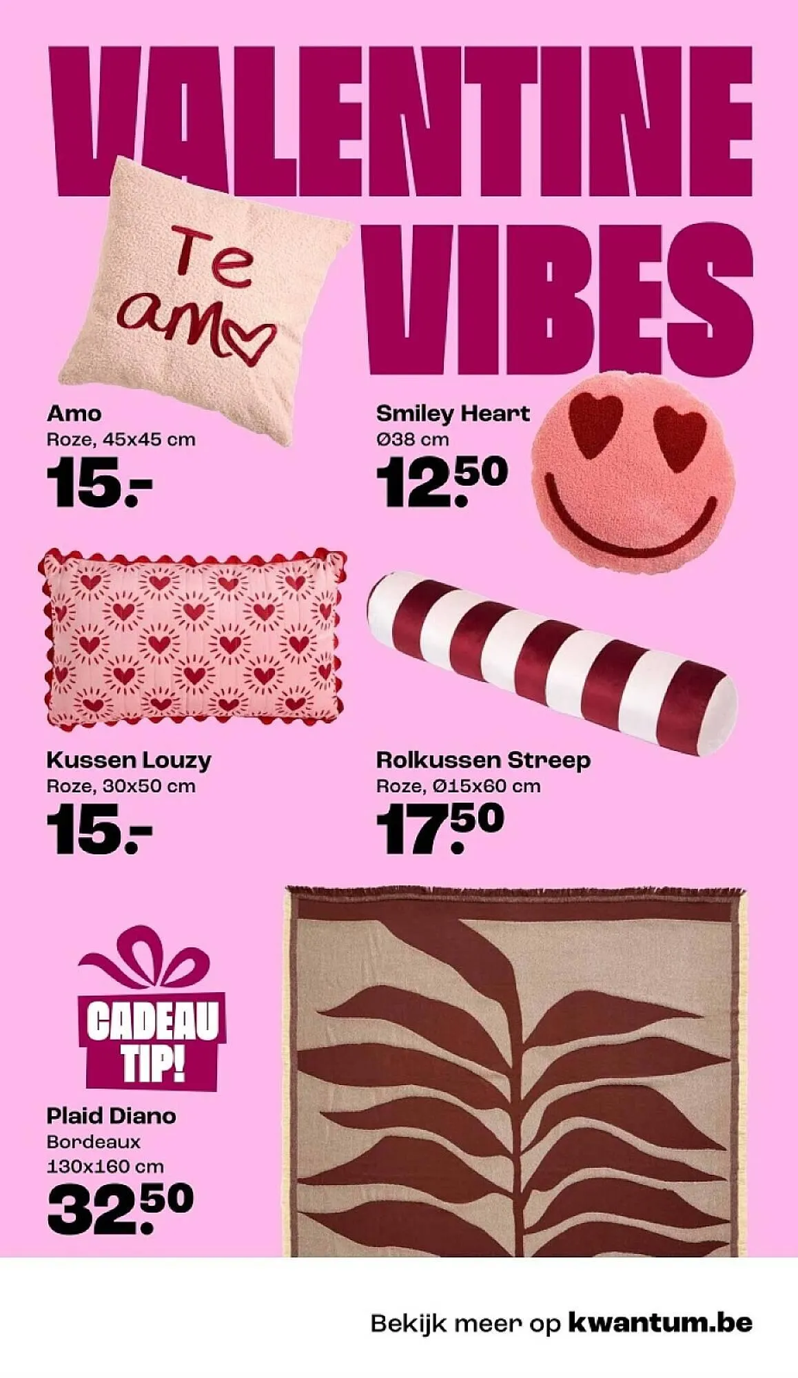 Kwantum folder van 19 januari tot 1 februari 2026 - folder pagina 13