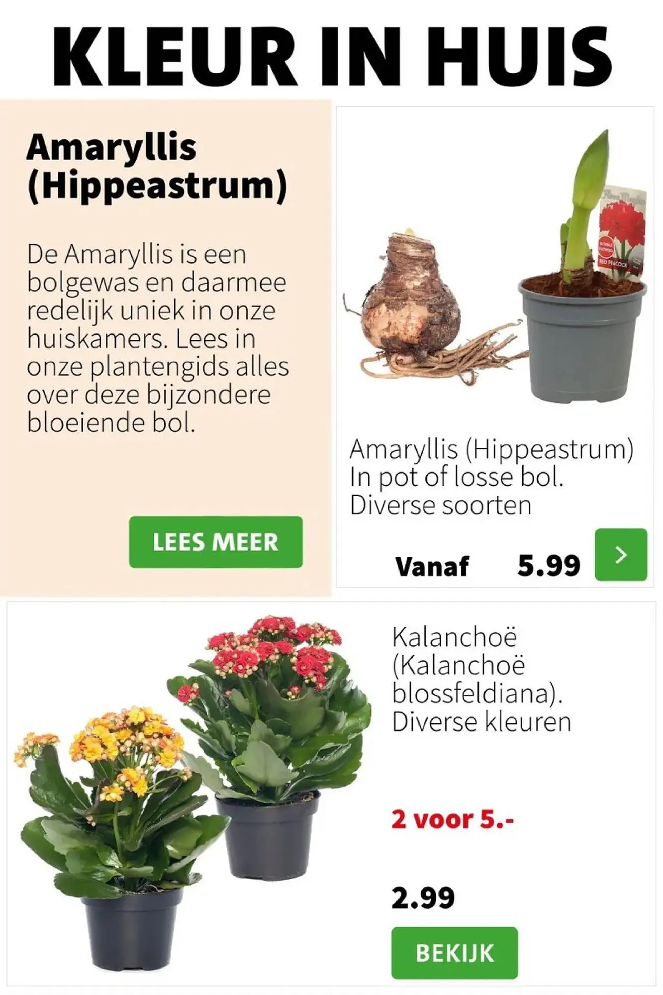 Intratuin Folder van 20 november tot 26 november 2023 - folder pagina 2