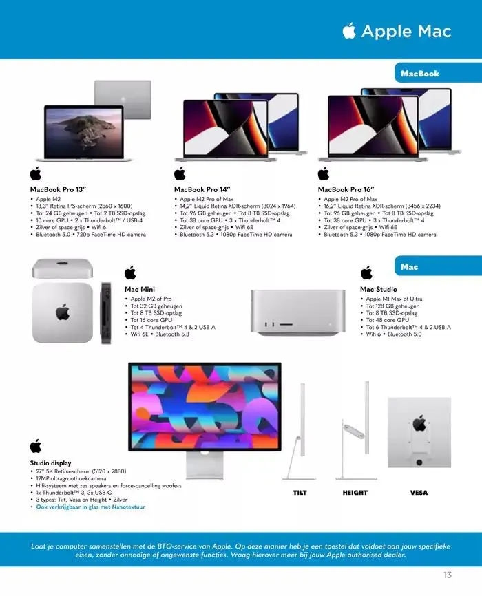 Catalogus B2B van 4 december tot 28 februari 2025 - folder pagina 13