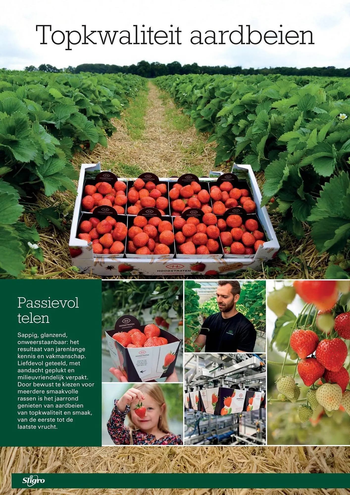 Sligro folder van 30 april tot 18 mei 2026 - folder pagina 62