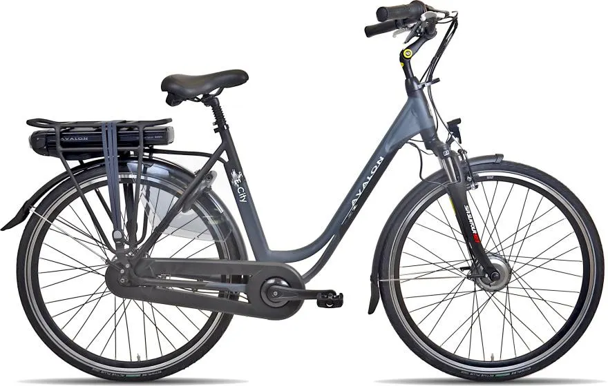 Avalon E-City+ 28 Inch Dames 7V Rollerbrake Antraciet