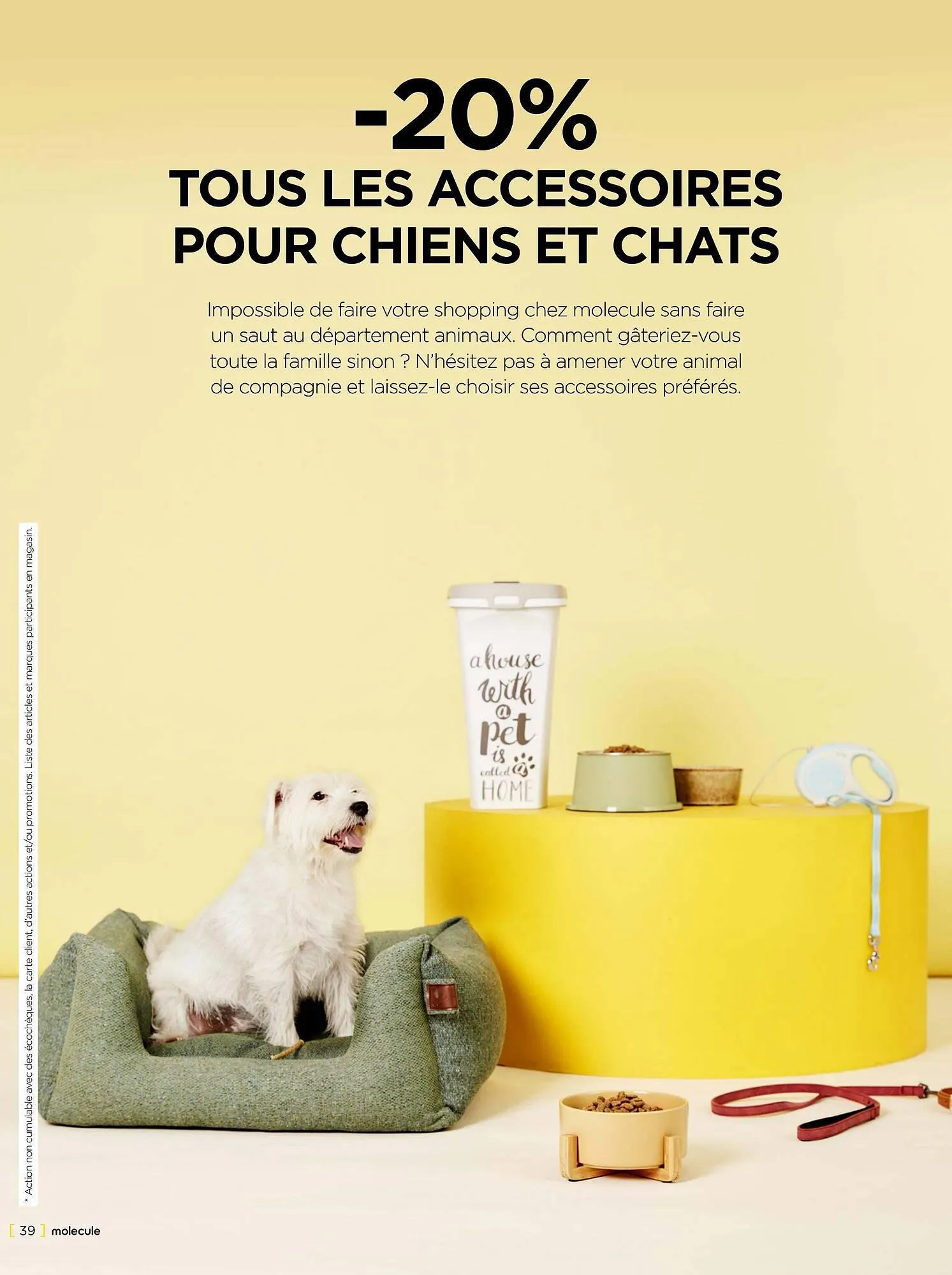 Molecule folder van 27 september tot 3 oktober 2023 - folder pagina 39