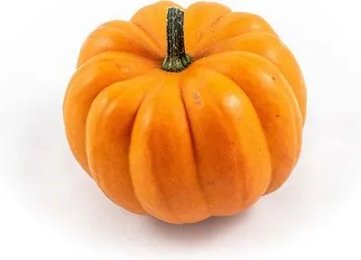 Sierkalebas (Cucurbita 'Orange Boo') D 11 cm