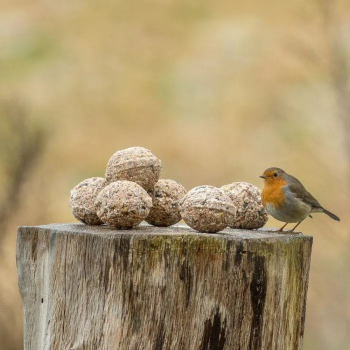 Biologische vetbollen - 6 stuks