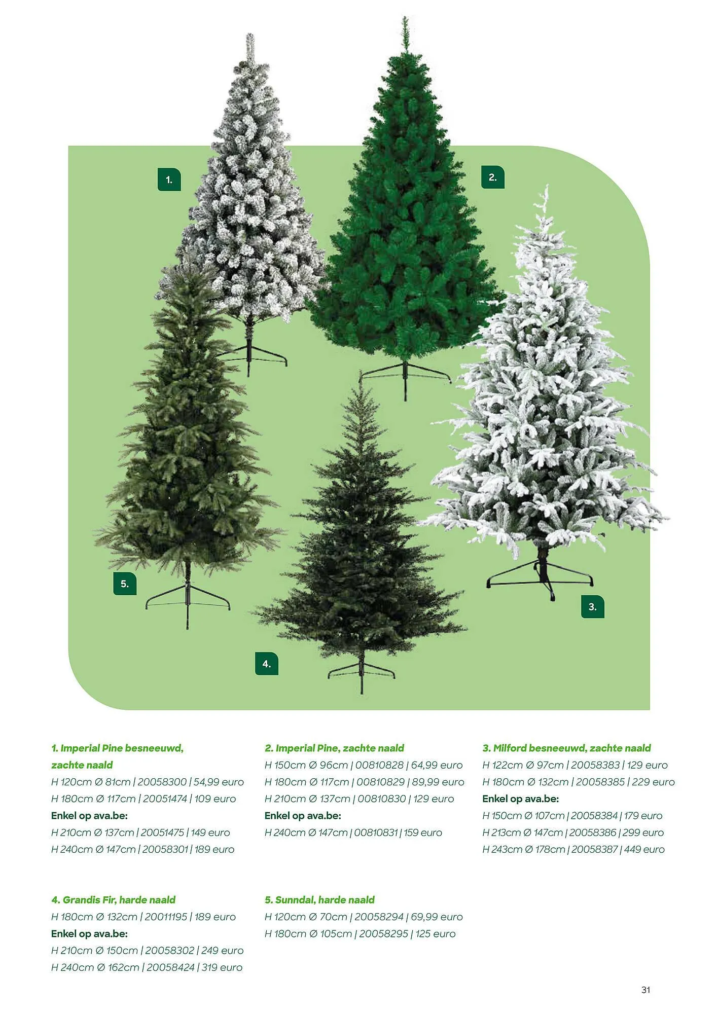 AVA Folder van 4 december tot 31 december 2023 - folder pagina 31