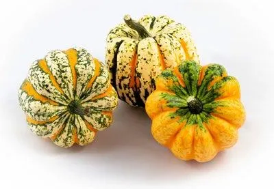 Pompoen (Cucurbita 'Festival') D 12,5 cm