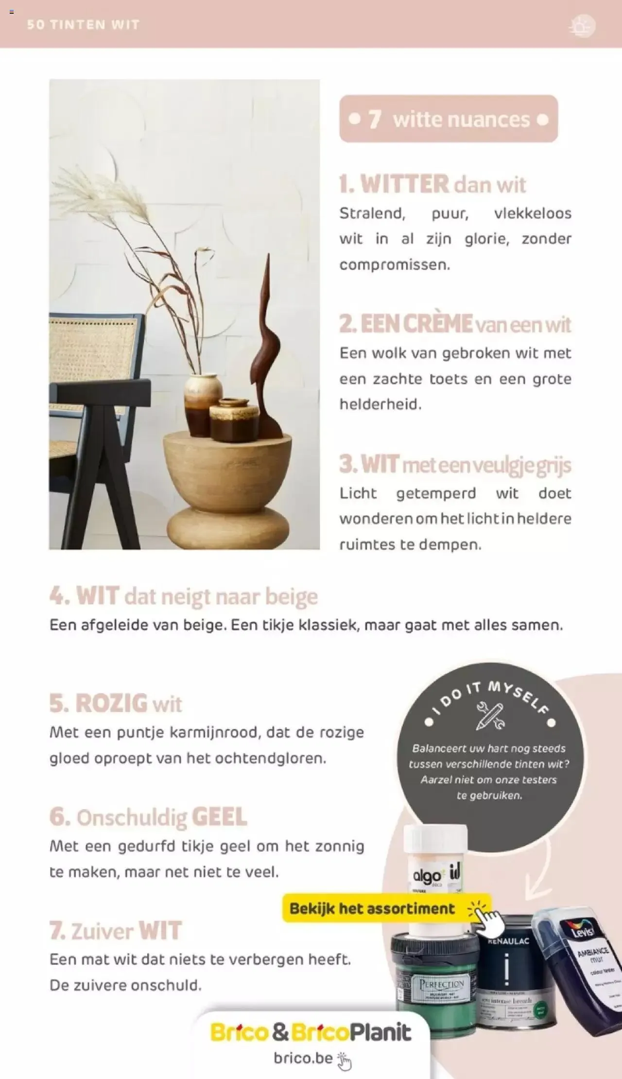 Brico - Verfmagazine van 14 juni tot 31 december 2023 - folder pagina 35