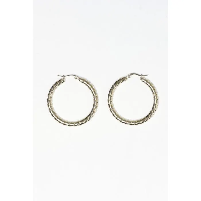 Oorringen gedraaid stainless steel