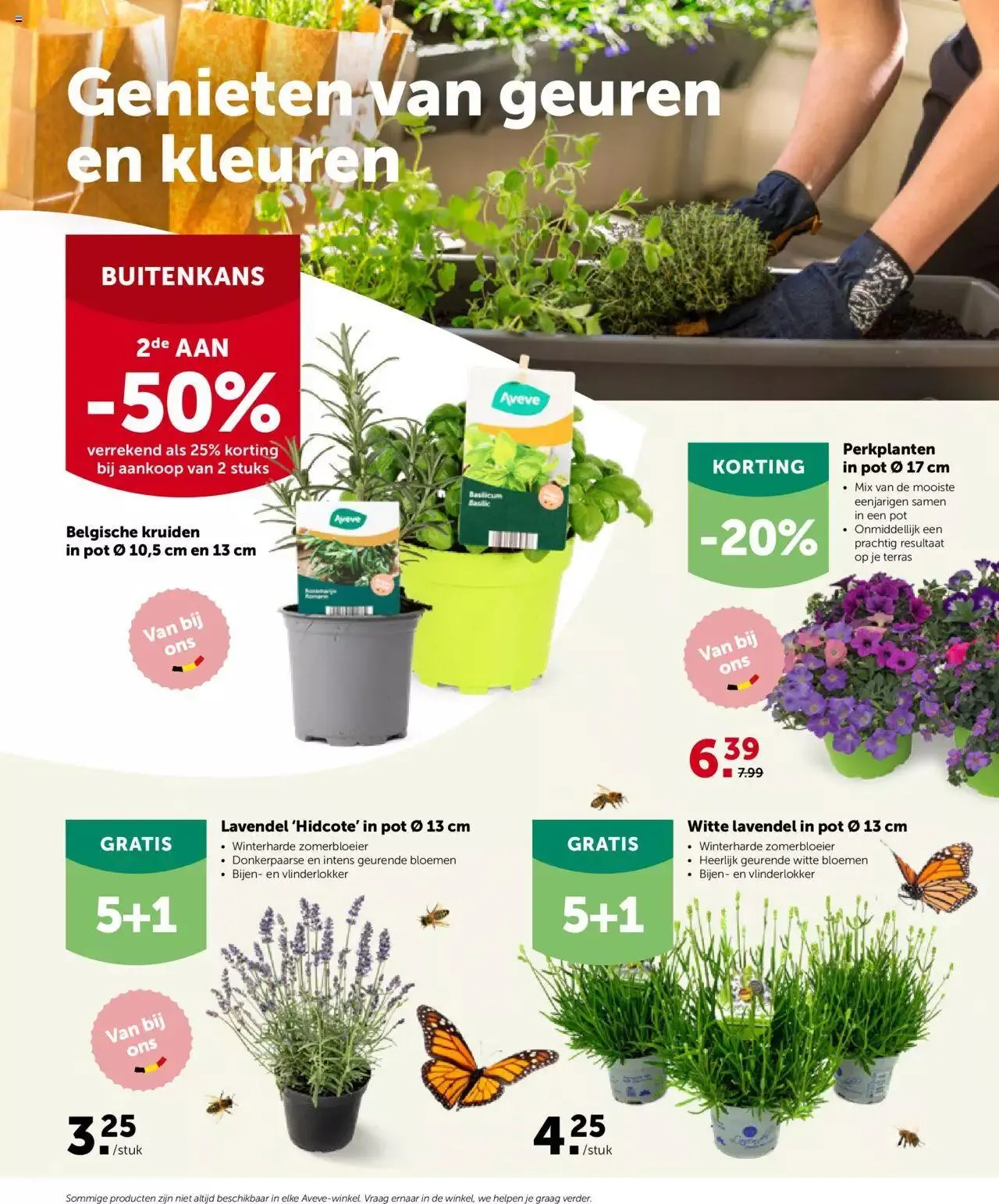 Aveve folder van 4 juni tot 31 december 2023 - folder pagina 2