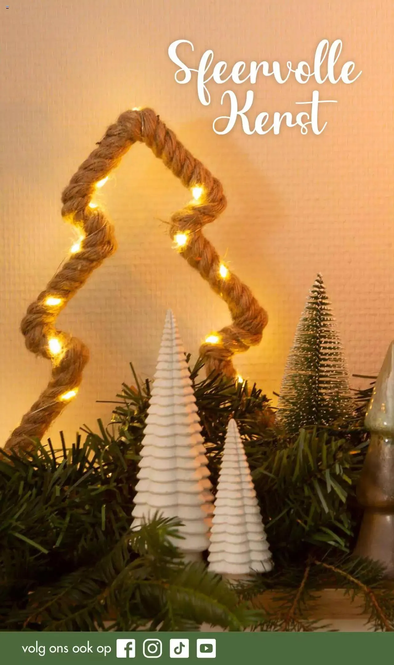 Wibra KERST: inspiratie special van 1 november tot 31 december 2023 - folder pagina 4