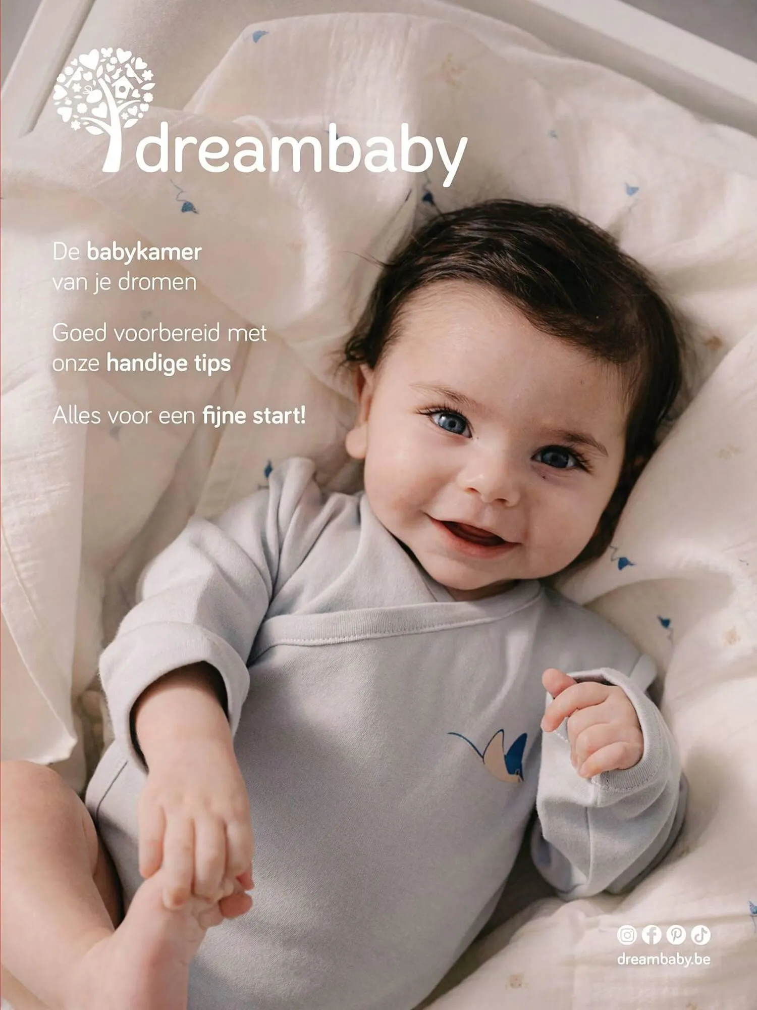 Dreambaby folder - 7 maart 31 december 2024