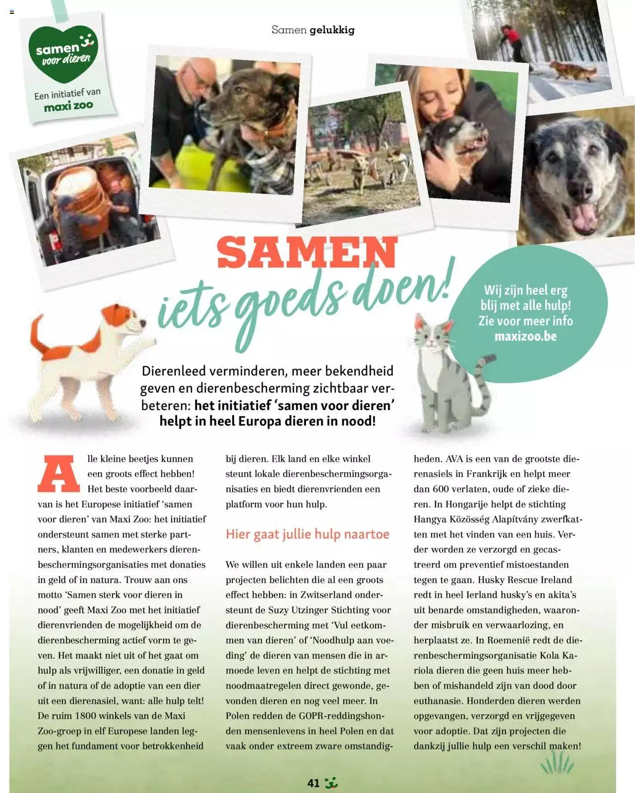 Maxi Zoo folder van 1 januari tot 31 december 2024 - folder pagina 41