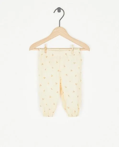 Broek van tetra