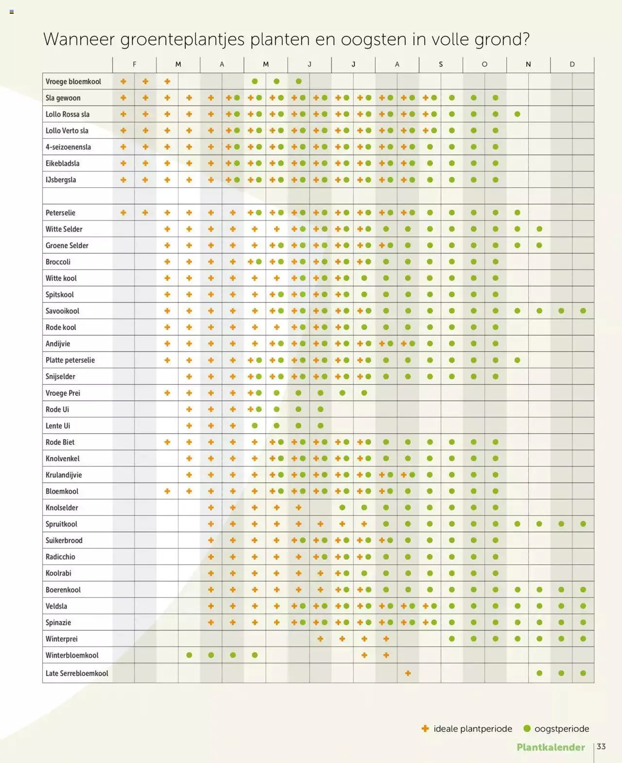 Aveve groente- en kruidengids van 31 december tot 31 december 2023 - folder pagina 33