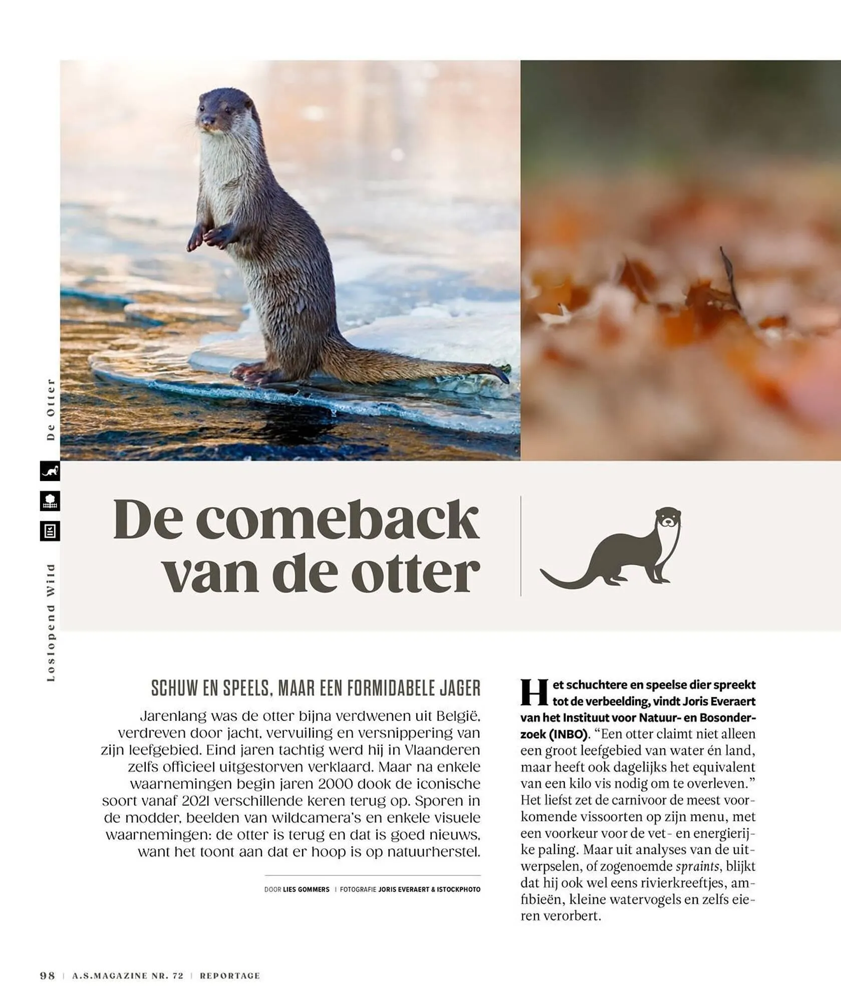 AS Adventure folder van 3 november tot 18 februari 2026 - folder pagina 98