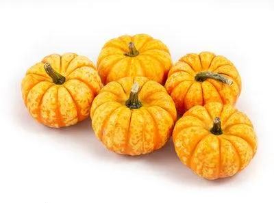 Pompoen (Cucurbita 'Spark') D 8 cm