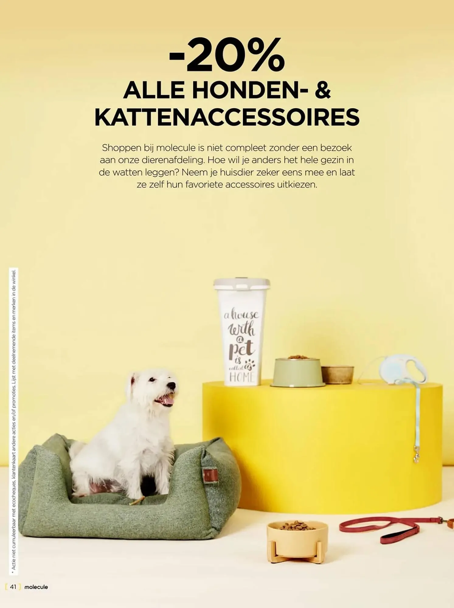 Molecule folder van 1 oktober tot 31 oktober 2023 - folder pagina 41