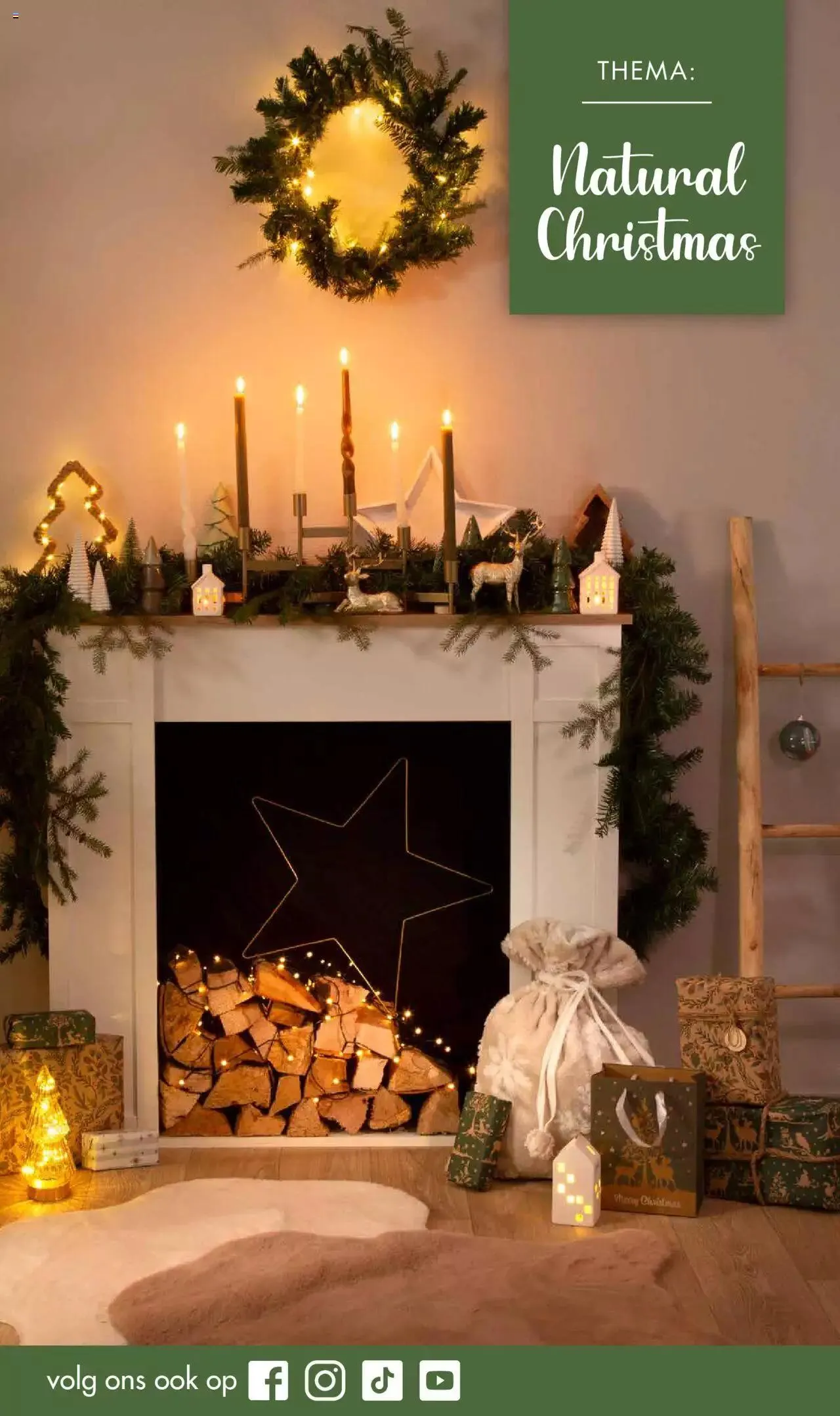 Wibra KERST: inspiratie special van 1 november tot 31 december 2023 - folder pagina 2