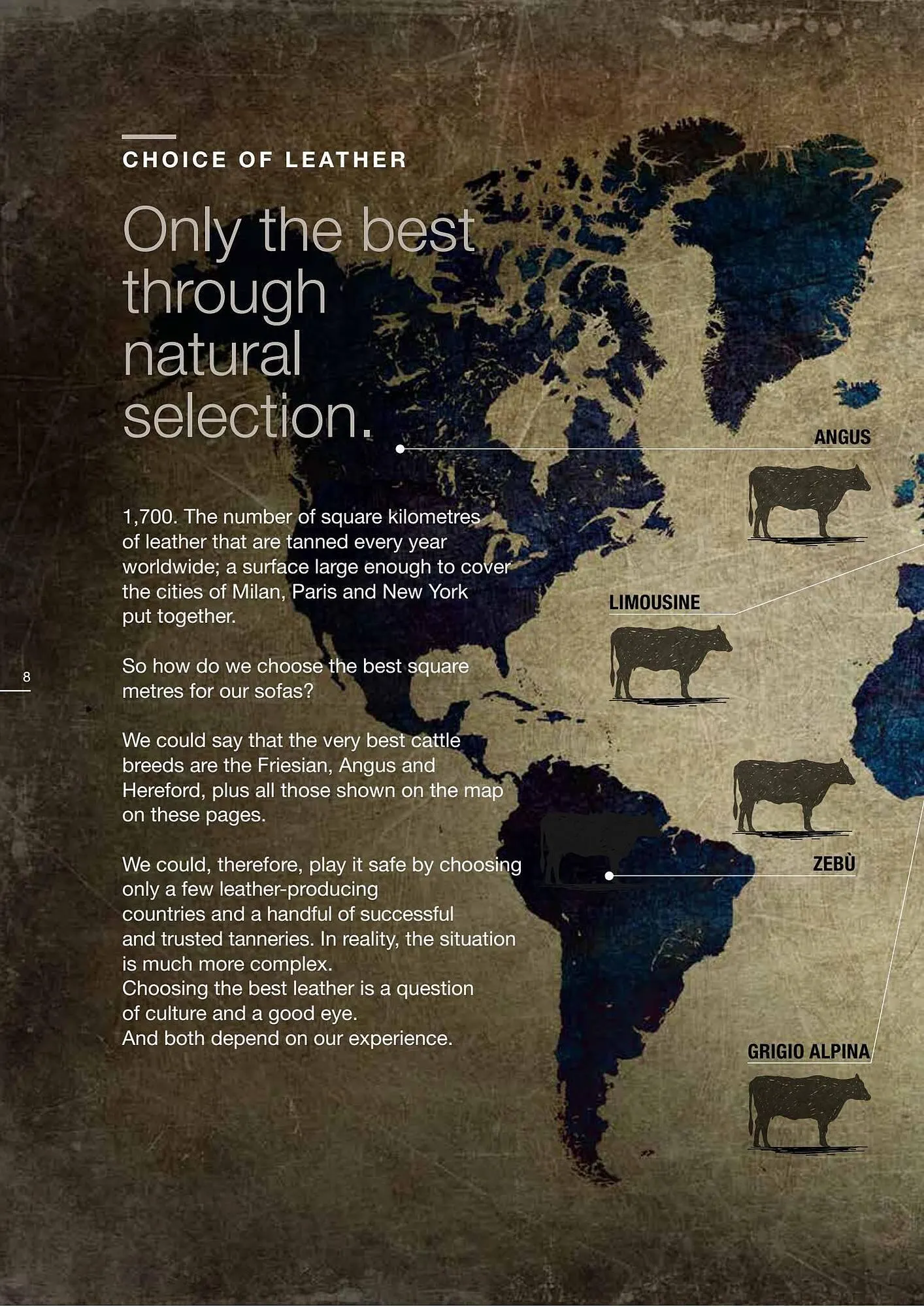 Chateau d'Ax folder van 2 augustus tot 31 augustus 2023 - folder pagina 8