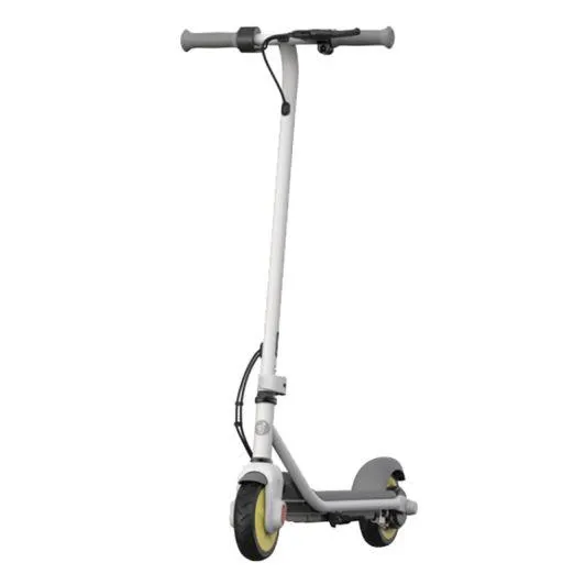 Trottinette NINEBOT by Segway C10
