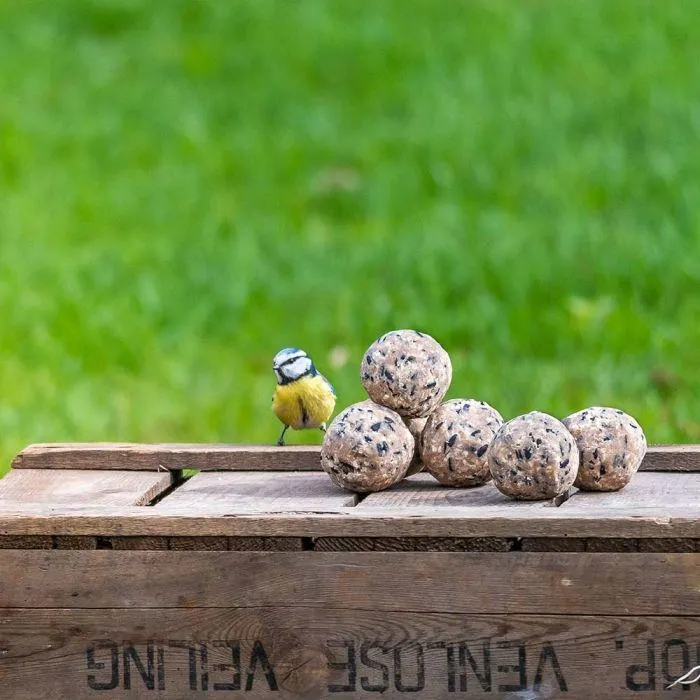 Kids Vetbollen - 6 stuks