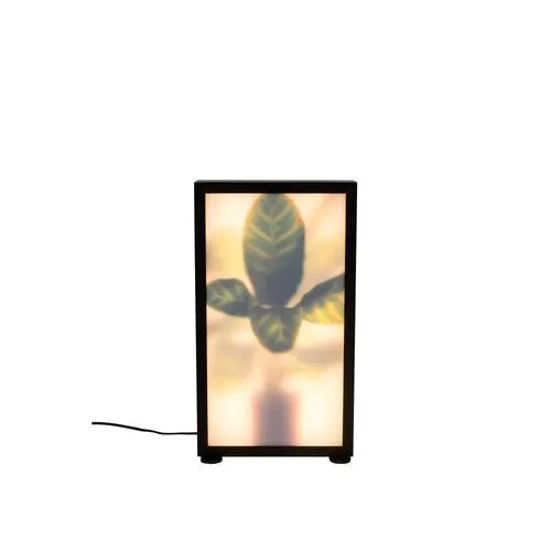 Zuiver Grow Vloerlamp M - Zwart