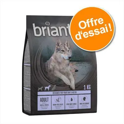 Offre d'essai : Briantos Adult SANS CÉRÉALES pour chien