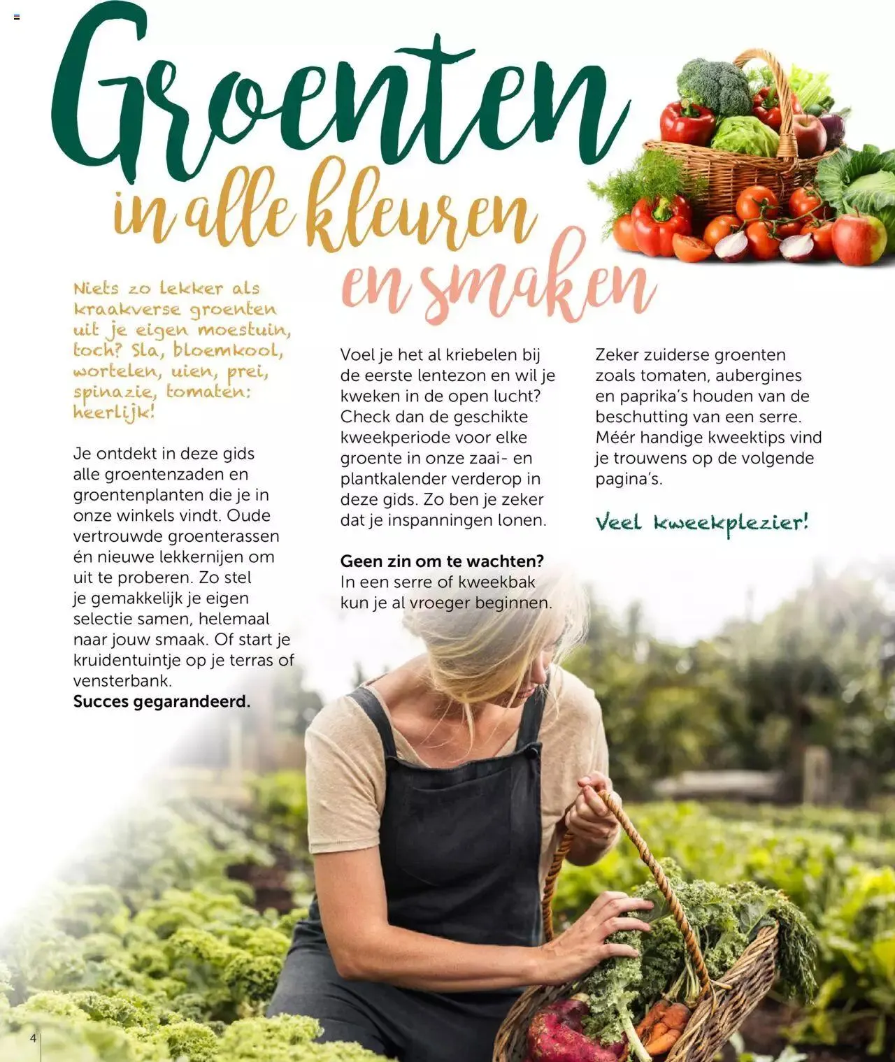 Aveve groente- en kruidengids van 31 december tot 31 december 2023 - folder pagina 4