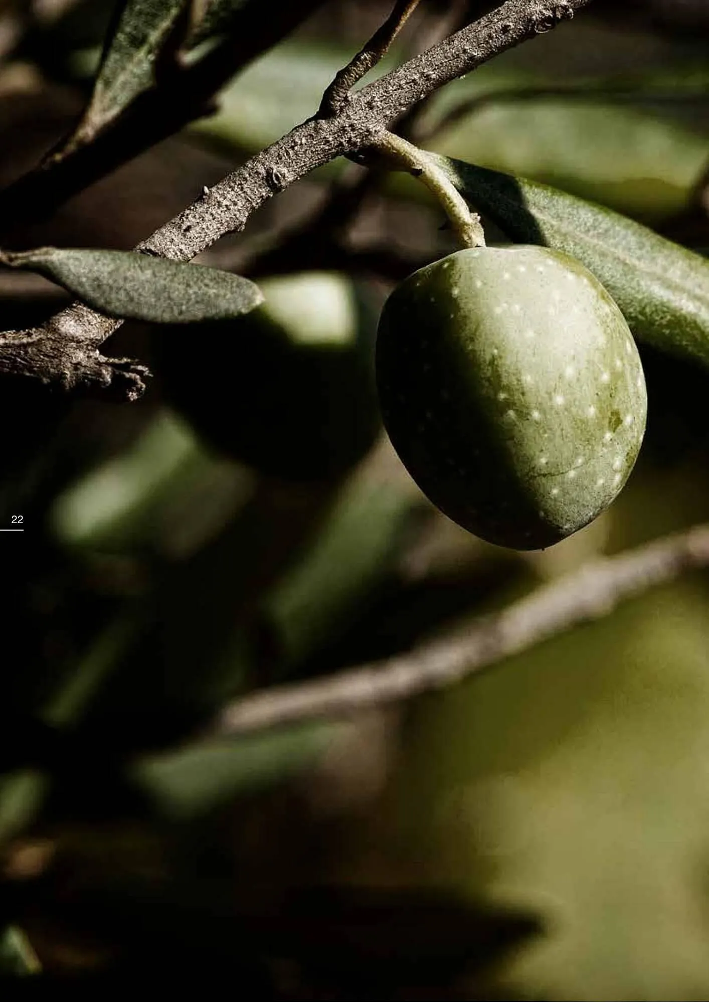 Chateau d'Ax folder van 6 september tot 30 september 2023 - folder pagina 22