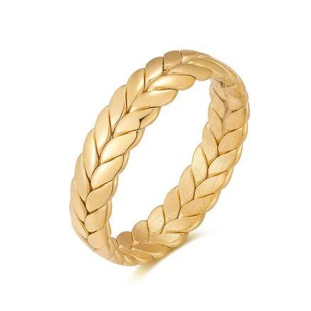 Ring in edelstaal, gevlochten
